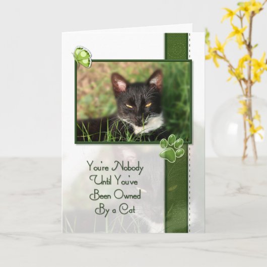 あなたの新しい猫の引用文のお祝い カード (黄色い花)