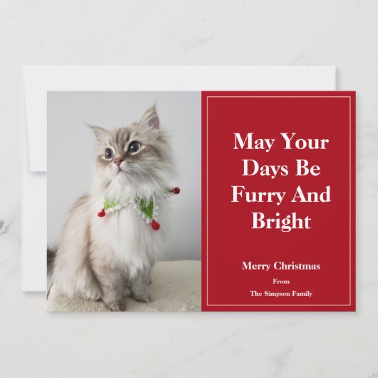 あなたの日々がフワフワで輝かしいクリスマス猫になりますように シーズンカード (正面)