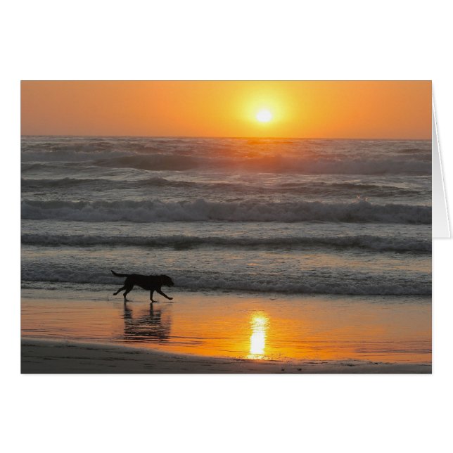 あなたの日をできるだけ利用して下さい (正面横)