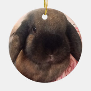 あなたの木にfurrinessを持って来て下さい セラミックオーナメント