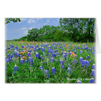 あなたの枕を得て下さい