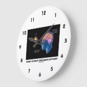 あなたの概日リズムは何なの？ ラージ壁時計 (傾斜)