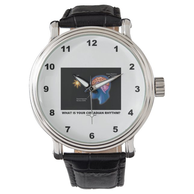 あなたの概日リズムは何なの？ 腕時計 (正面)