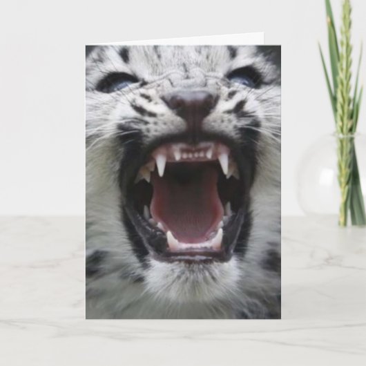 あなたの歯を示して下さい カード (正面)