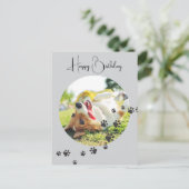 あなたの毛皮の友達からお誕生日のお祝い　２枚の写真 ポストカード (スタンド正面)