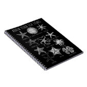 あなたの海の星を知る – Starfish Groups ノートブック (右側)