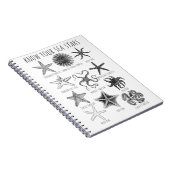 あなたの海の星を知る – Starfish Groups ノートブック (右側)
