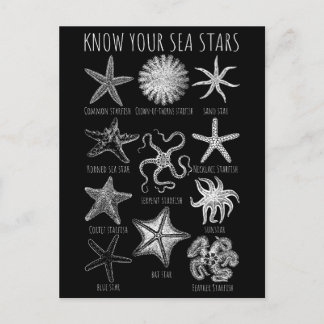 あなたの海の星を知る – Starfish Groups ポストカード
