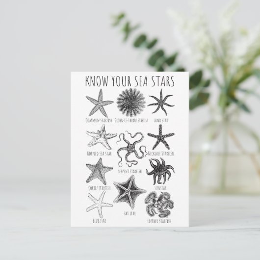 あなたの海の星を知る – Starfish Groups ポストカード (スタンド正面)