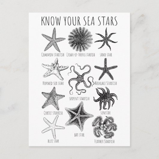 あなたの海の星を知る – Starfish Groups ポストカード (正面)