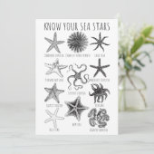 あなたの海の星を知る – Starfish Groups 招待状 (スタンド正面)