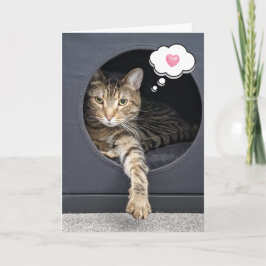 あなたの為に箱に入れ考えたタビー猫 カード