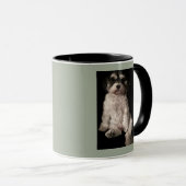 あなたの犬の写真をここにHavanese置いて下さい マグカップ (正面右)