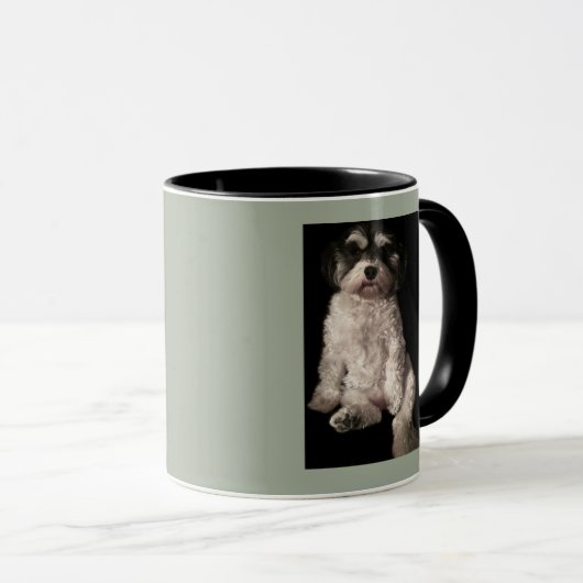 あなたの犬の写真をここにHavanese置いて下さい マグカップ (正面右)
