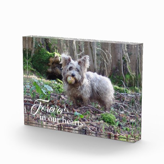 あなたの犬の写真を永遠に私たちのハートでペット記念碑 フォトブロック (右)