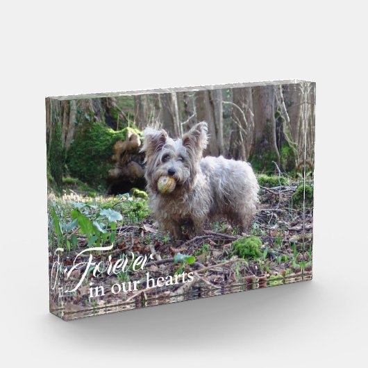 あなたの犬の写真を永遠に私たちのハート フォトブロック (左)