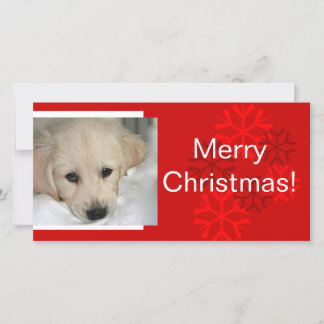 あなたの犬の写真スノーフレークのクリスマスカード シーズンカード