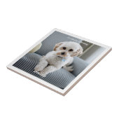 あなたの犬の写真、スクリプト名、愛するメモリ内 タイル (側面)