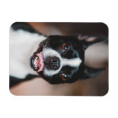 あなたの犬の写真 |ファーベビーかわいい子犬の画像のアップロード マグネット (横)