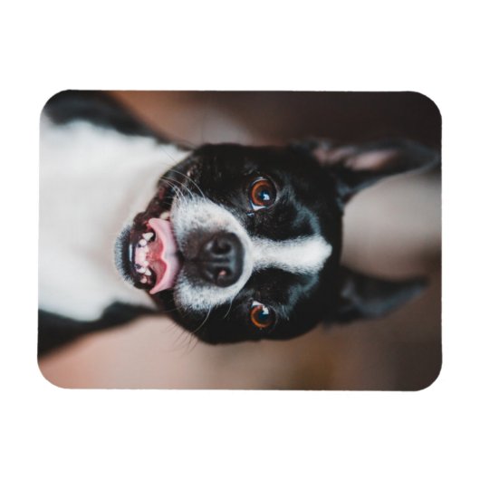 あなたの犬の写真 |ファーベビーかわいい子犬の画像のアップロード マグネット (横)