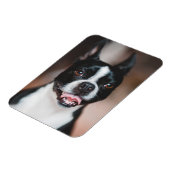 あなたの犬の写真 |ファーベビーかわいい子犬の画像のアップロード マグネット (左側)