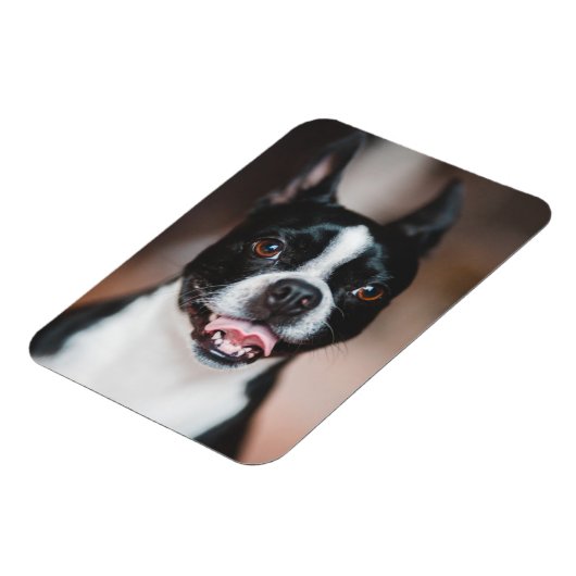 あなたの犬の写真 |ファーベビーかわいい子犬の画像のアップロード マグネット (左側)