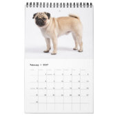 あなたの犬14枚の写真の引用符 2027 カレンダー (2月 2027)