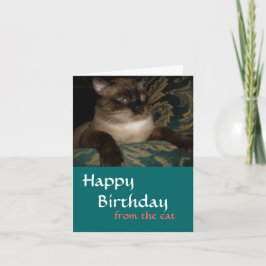 あなたの猫から - シャム猫の誕生日カード カード