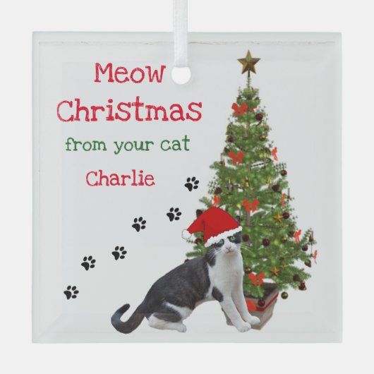あなたの猫のクリスマスオーナメント ガラスオーナメント (正面)