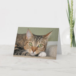 あなたの猫の考えることは梳きます カード