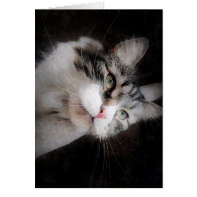 あなたの猫好きのためのカードを考えて下さい (正面)