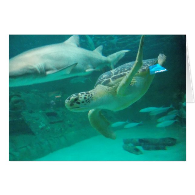 あなたの甘い点を見つけて下さい (正面横)