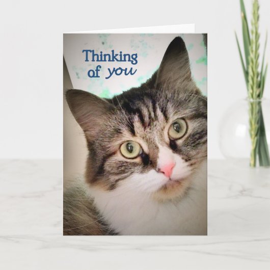 あなたの甘い表現の考えることは梳きます カード (正面)