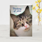 あなたの甘い表現の考えることは梳きます カード (黄色い花)