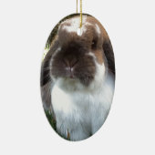 あなたの生命にfurrinessを持って来て下さい! セラミックオーナメント (右)