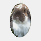 あなたの生命にfurrinessを持って来て下さい! セラミックオーナメント (左)