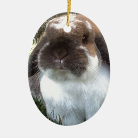 あなたの生命にfurrinessを持って来て下さい! セラミックオーナメント (正面)