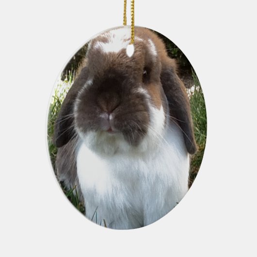 あなたの生命にfurrinessを持って来て下さい! セラミックオーナメント (右)