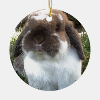 あなたの生命にfurrinessを持って来て下さい! セラミックオーナメント