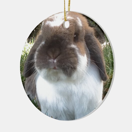 あなたの生命にfurrinessを持って来て下さい! セラミックオーナメント (左)