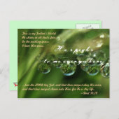 ...あなたの神である主を愛し、あなたの命を奪う ポストカード (正面/裏面)