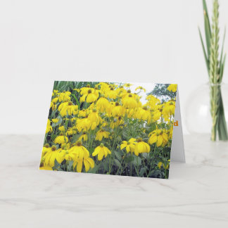 あなたの美しい カード