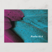 あなたの羽毛で私をおおって ポストカード (裏面)