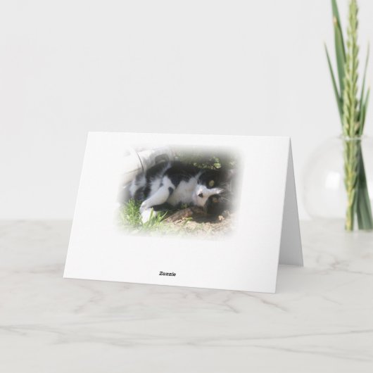 あなたの考えることかわいい灰色の子猫猫カード カード (裏面)