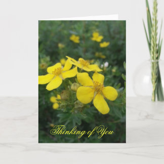 あなたの考えることは梳きます カード