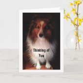 あなたの考えることは梳きます カード (黄色い花)