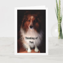 あなたの考えることは梳きます