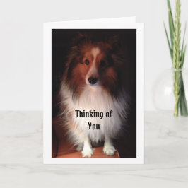 あなたの考えることは梳きます カード