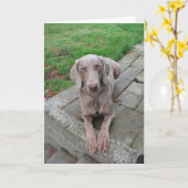 あなたの考えることは梳きます カード (黄色い花)