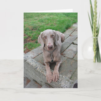 あなたの考えることは梳きます カード